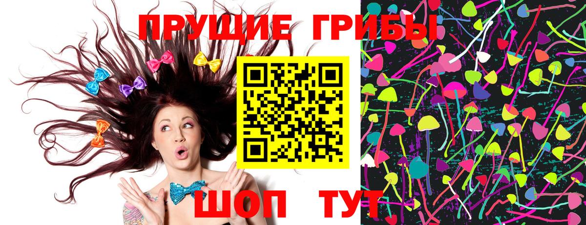 Псилоцибиновые грибы Psilocybe Энгельс
