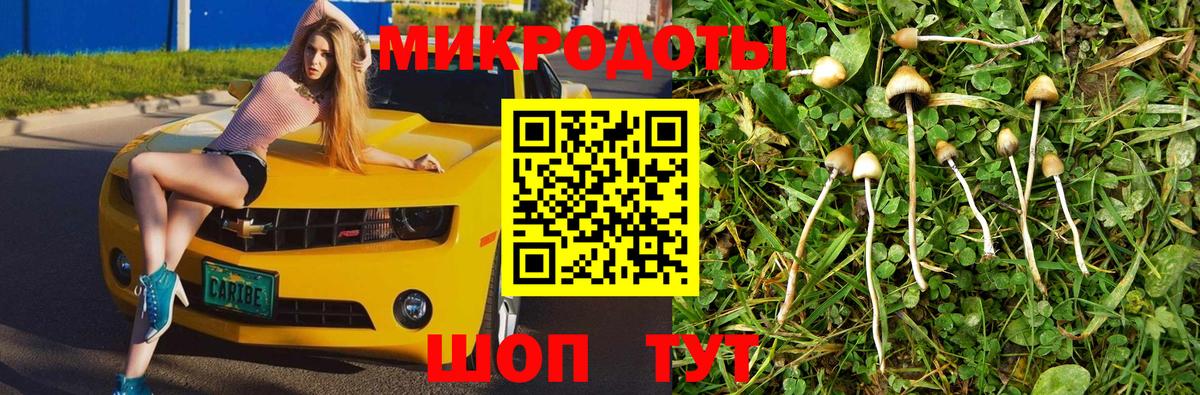 цена   Вход с VPN  Энгельс  Псилоцибиновые грибы Psilocybe 